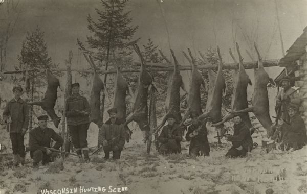 Nine deer hunters are posing with their rifles, and with nine killed deer and one small animal (possibly a rabbit) hanging from a buck pole behind them. There is a log building on the far right. Caption reads: "Wisconsin Hunting Scene."