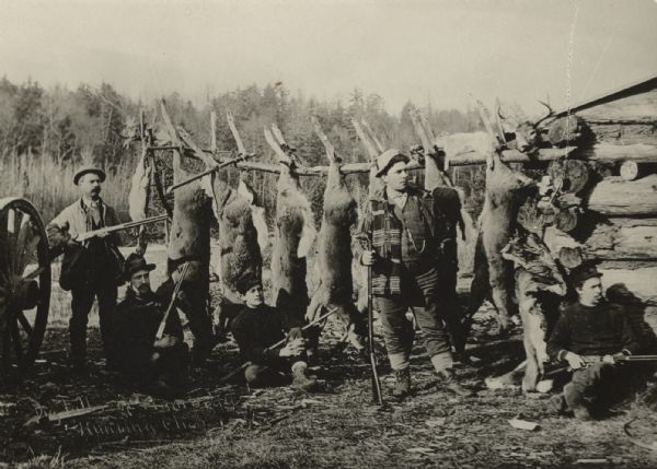 Five deer hunters are posing with their rifles and seven killed deer and one small animal (possibly a rabbit) hanging from a buck pole behind them. A log building is on the right. The caption on the reverse identifies the men as Chippewa Falls deer hunters.