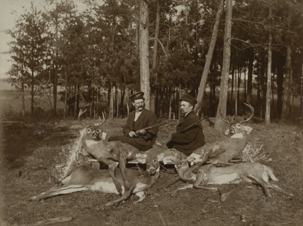 Two deer hunters are sitting on a low bench with their rifles and four killed deer. The deer have tags on their ears.