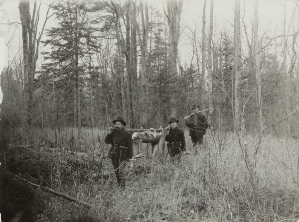 Three deer hunters are walking through the woods, holding their rifles. Two of the men are also carrying a killed deer hung from a pole resting on their shoulders.