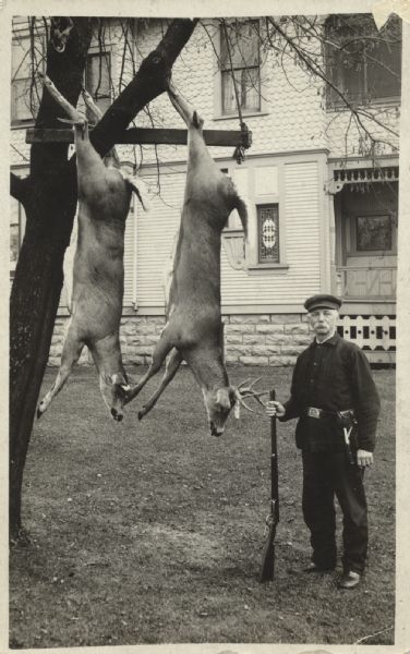 A man is posing with his rifle and two killed deer hanging from a beam in a tree. In the background is a large house. Caption reads: "F.R. Foster and the two deer he killed in 1908 at the age of 63 years. Compliments of F.R. Foster." 
