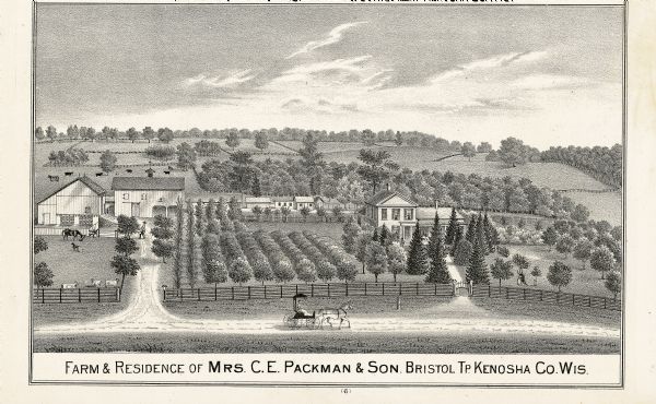 An etching of the farm and residence of Mrs. C.E. Packman and her son.