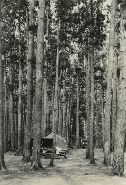View towards a tent pitched on bare ground among a grove of trees, behind a picnic table. A car is parked in the background.
