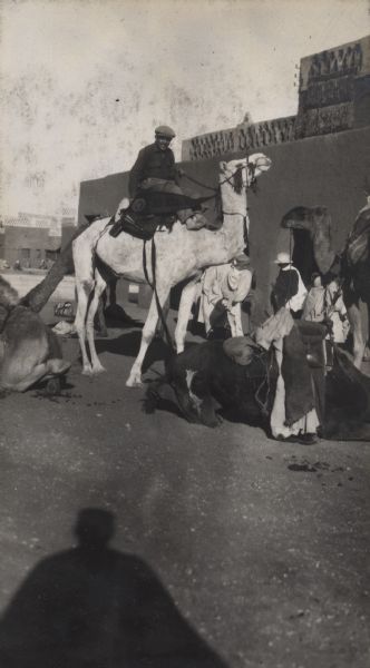 Alonzo Pond riding a camel named Ole Olson in In Salah, Algeria. There is a Beloit College pennant on the side of the camel.
