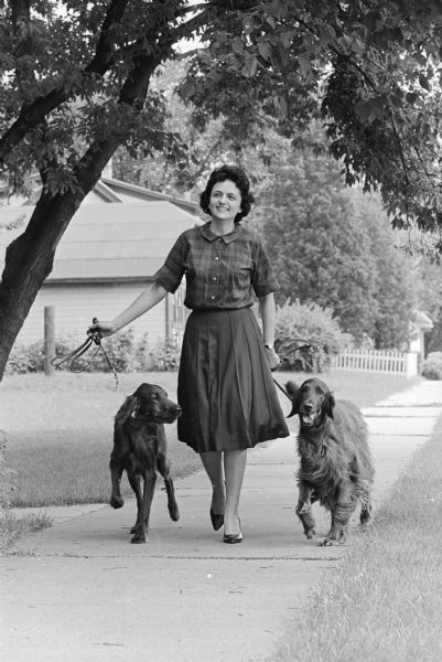 Attorney, Shirley Abrahamson, walking her Irish Setters, Brisco and Betsy-B near her Fish Hatchery Road home. She is a member of the law firm of LaFollette, Sinykin, Doyle & Anderson in Madison.
