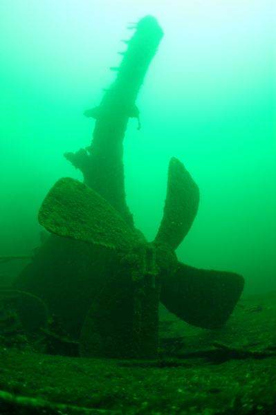 View of the stern and propeller of the wrecked steam screw <i>Frank O'Connor</i> at the bottom of Lake Michigan.
