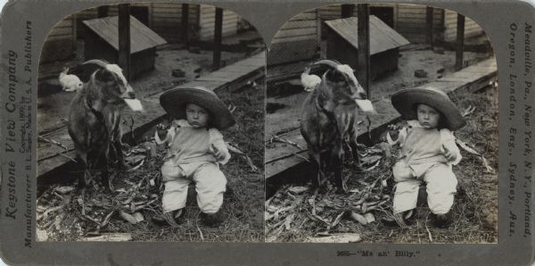 A toddler wearing an oversized straw hat is sitting on a box on the ground. There is a bottle in the toddler's pocket. There is a goat is standing next to the toddler on the left, and the leash on the goat is attached to the toddler's clothing. The goat has an unidentified object in its mouth. There are rabbits behind a fence in the background.