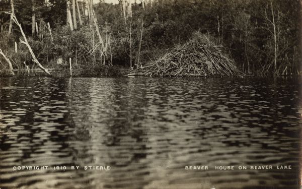 View across water toward a stick-based structure, which is situated on the water near a shoreline and forest. Caption identifies it as: "Beaver House on Beaver Lake."