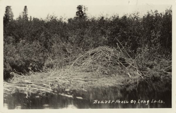 View of a stick-based structure on water, near a shoreline and forest. Caption identifies it as: "Beaver House on Long Lake."