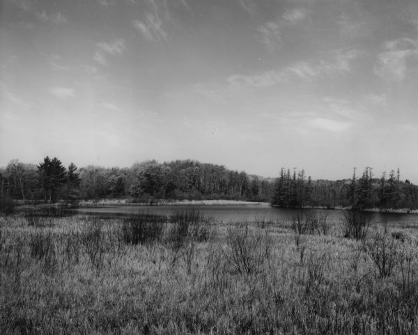 View across marshland and water toward a low, wooded hill. Caption reads: "Across the State of Wisconsin the continental glaciation left a belt of conspicuous glacial features of the Wisconsin stage. The area contains moraines, drumlins, lakes, ponds, floating sedge mats, and wooded hills."