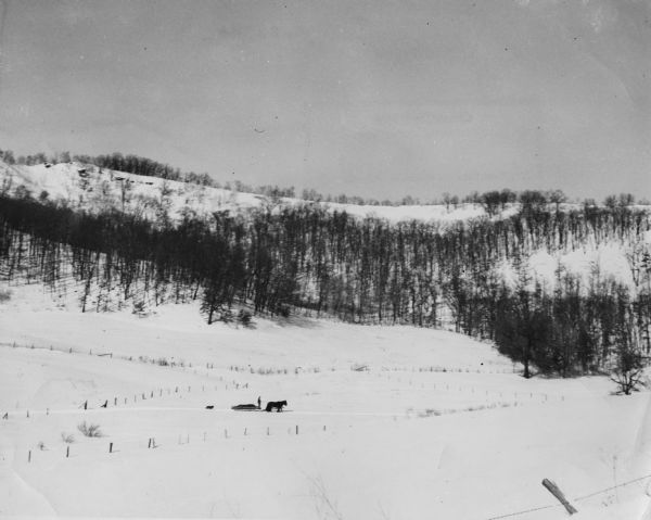 View of a snow-covered field. Fence posts are visible. A person can be seen standing on a horse-drawn sleigh. Caption reads: "Winter Scene - Highway 54, West of North Bend near Jackson and Trempealeau County line."