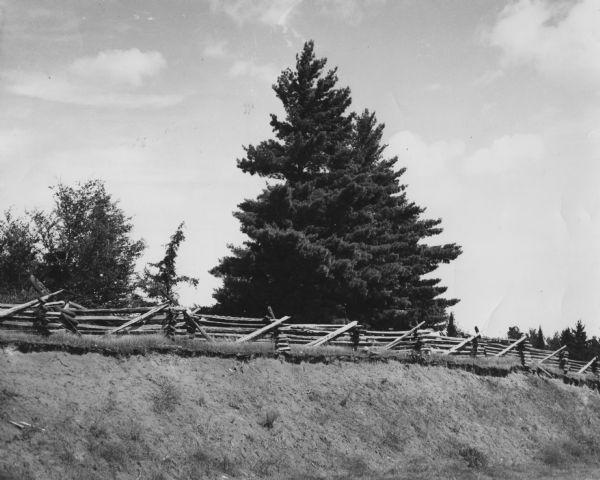 View of a fence made with split logs (rails). A large tree is behind the fence.