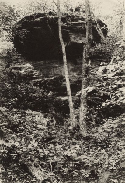 View looking up at a rock formation, with plants growing over the side. In the foreground are trees and branches. Caption reads: "Overhanging Rock on the side of 'Blue Mound' Near Kilbourne, Wis. Photograph by H. de Joannis, Chicago."