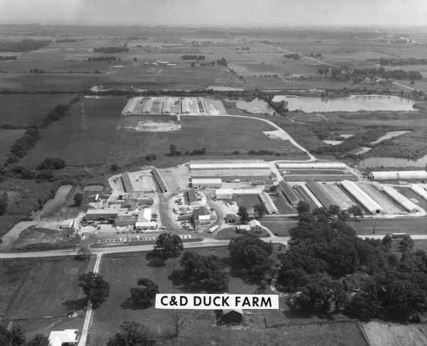 Aerial view of the C&D Duck Farm.