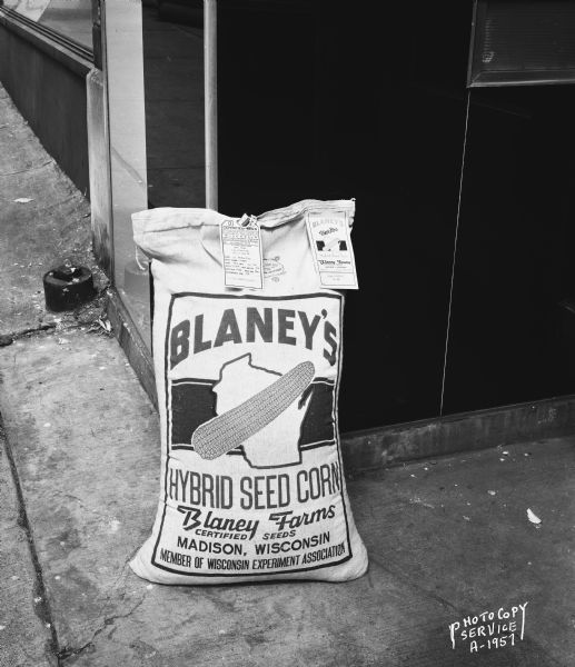 New style bag of Blaney's seed. Writing on bag states: "Blaney's Hybrid Seed Corn, Blaney Farms, Certified Seeds, Madison, Wisconsin, Member of Wisconsin Experiment Association."