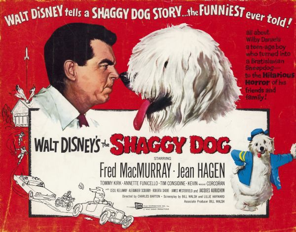 Title lobby card for the 1959 film "The Shaggy Dog" starring Fred MacMurray and Jean Hagen.  The card has a drawing of Wilson Daniels (Fred MacMurray) face to face with the shaggy dog and a smaller drawing of the dog dressed in a high school letter sweater.