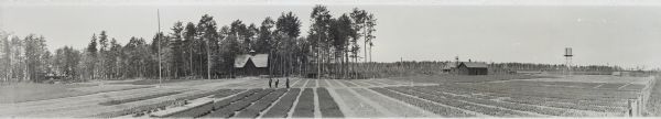 Panoramic view of the nursery at Trout Lake. In the center are three men and a dog standing among seedlings in the nursery. There is a water tower and two buildings on the right. In the center among trees is a barn. Fences enclose the nursery. On the far left among trees is the Main Building, and beyond is Trout Lake.