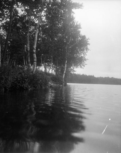 View across water towards a shoreline nearby. There appears to be a sign on one of the birch trees. A far shoreline is in the distance.