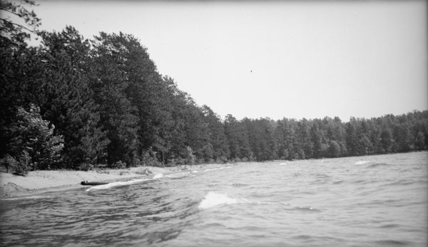 View across water towards the shoreline of Trout Lake. There is a thin, sandy beach, and trees all along the curved shoreline.