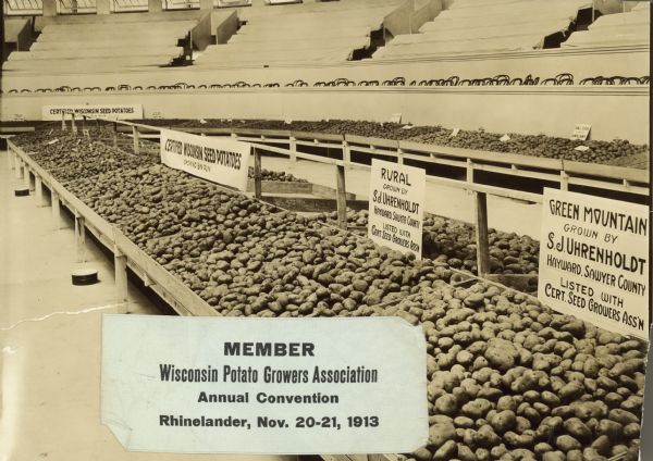 Exhibition of potatoes. The sign on the far right over a bin of potato's reads: "Green Mountain, grown by S.J. Uhrenholdt, Hayward, Sawyer County, Listed with Cert. Seed Growers Ass'n." Includes an attached ribbon which reads: "Member, Wisconsin Potato Growers Association, Annual Convention, Rhinelander, Nov. 20-21, 1913."