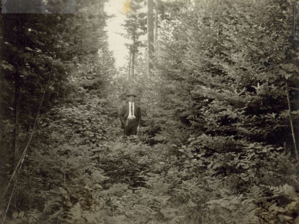 View towards a man wearing a suit and hat standing among trees. Caption on back reads: "Taken in the early stage of growth." The photographs are attached to a letter from F.B. Trenk, Extension Forester. Letterhead reads: "Co-operative Extension Work in Agriculture and Home Economics, State of Wisconsin.