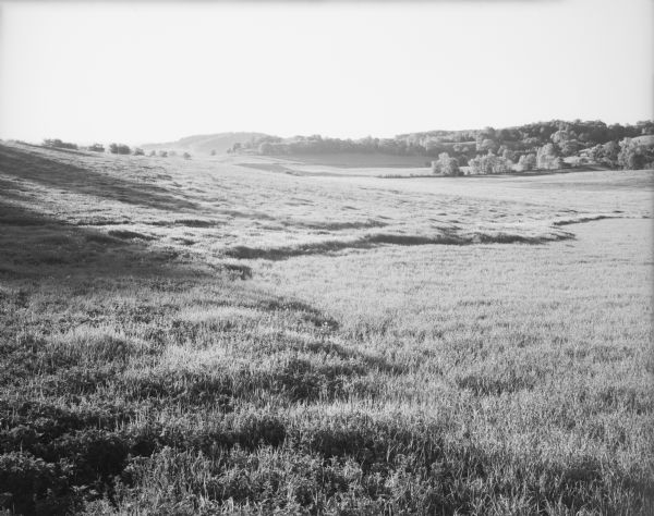 View across a field, with a gently sloping hill to the left, and hills and forests in the distance. Caption reads: "Denzer (vicinity), Wis. June 4, 1961. Fields along highway C at sunrise."