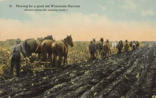 Rear view of four men plowing fields, assisted by teams of horses. Caption reads: "11. Plowing for a good old Wisconsin Harvest."