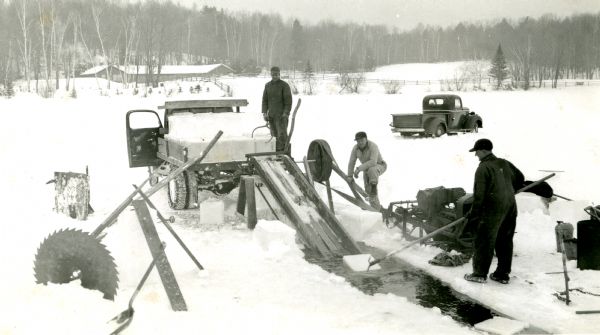 Slightly elevated view of three men cutting and loading ice into a dump truck on Namakagon Lake. One man is guiding ice blocks through open water to a conveyor belt with a peavey, while another man is operating the conveyor belt. A third man is ready to grab the ice blocks with pinchers to load the ice block into the dump truck. Numerous tools are scattered around including a large circular saw. There is a pick-up truck parked nearby on the ice. The cow palace is in the background.