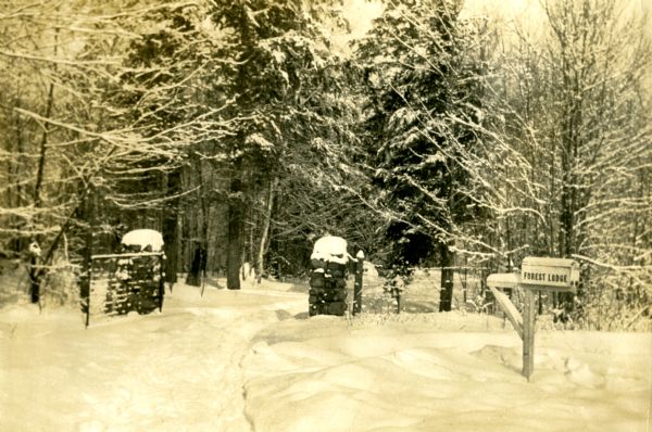Snow covered driveway into Forest Lodge through two stone gate posts.  A mailbox with "Forest Lodge" printed on it stands near the road. Snow covered trees line the driveway.