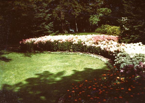 Large semi-circular flower garden in the lawn, partially shaded by the forest. 