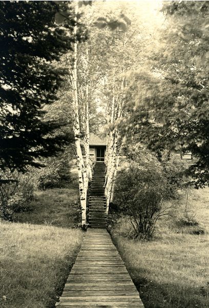 Boardwalk leading to wood steps lined with young birch trees that leads uphill to the main lodge side door. Grasses, shrubs and evergreen trees grow on either side of the pathway.