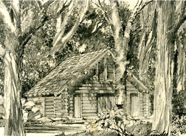 Pencil sketch showing the Forest Lodge log icehouse among tall trees.