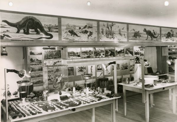 Exhibits in the Zerk museum. Display tables are in the foreground. Photographs are along the back wall, and above them are murals of dinosaurs and other extinct animals.