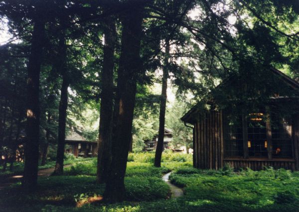 A path winds through dense ground cover and under tall evergreen trees past the guest house towards the maid's quarters and the main lodge. The guest house is a vertical log structure. The photograph was taken during the Forest Lodge 100th anniversary celebration.