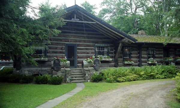 Driveway and sidewalk leading to the front door of the main lodge at Forest Lodge. The main lodge is a single story horizontal log house with a cedar shake roof. The front porch and all of the windows have log flower window-box planters. Ferns surround the base of the house.