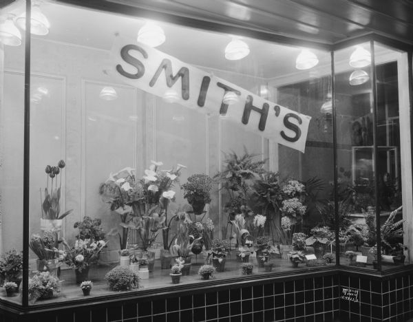 Smith's Flower Shop, 121 State Street, floral window display of flowering plants.