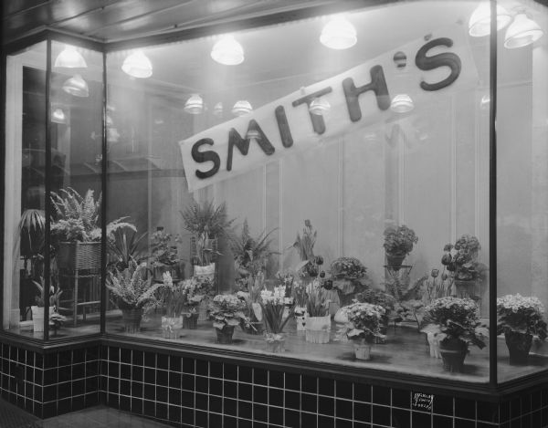 Smith's Flower Shop, 121 State Street, floral window display of flowering plants. Right hand window.