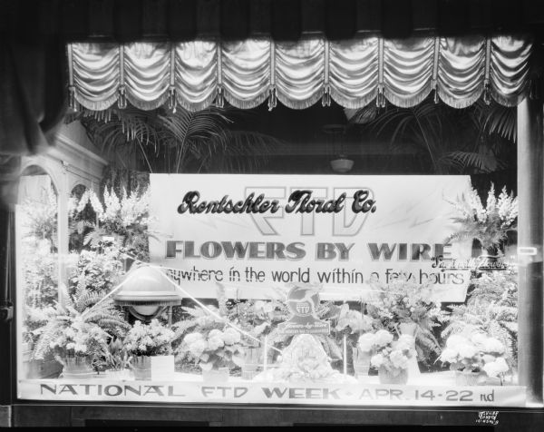Rentschler Floral Co., 228 State Street window for National FTD Week, Apr. 14-22nd.