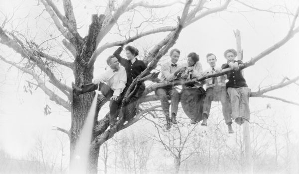 Group portrait of men and women in a tree. The photograph was taken by Peter Jacobson, at left, by operating the shutter with a string.