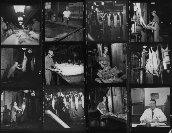 A contact sheet showing workers slaughtering and butchering pigs at Tobin Packing Co. The image at bottom right is of a man in a white coat sitting behind a desk.