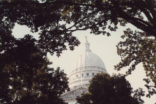 View looking up through tree branches toward the dome of the Wisconsin State Capitol. 