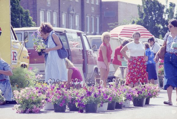 Women shop for flowering plants at the Dane County Farmers' Market on the Capitol Square. 