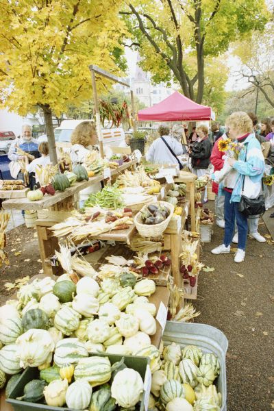 A display of Autumn produce for sale at the Dane County Farmers' Market on the Capitol Square. The Grace Episcopal Church on North Carroll Street is in the background.