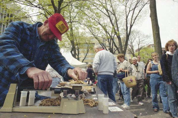 A farmer weighing ginseng on opening day of the Dane County Farmers' Market on the Capitol Square. Pedestrians are strolling on the sidewalk on the right. The Park Hotel is in the background.