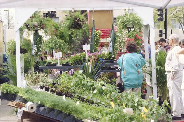 Customers shopping for plants on the opening day of the Dane County Farmers' Market on the Capitol Square.