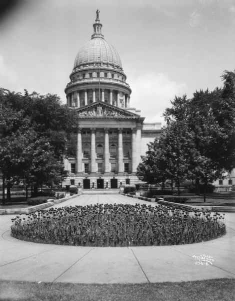View of the Wisconsin State Capitol. In the foreground is a tulip bed on the Capitol grounds at the corner of W. Main and S. Carroll Streets.